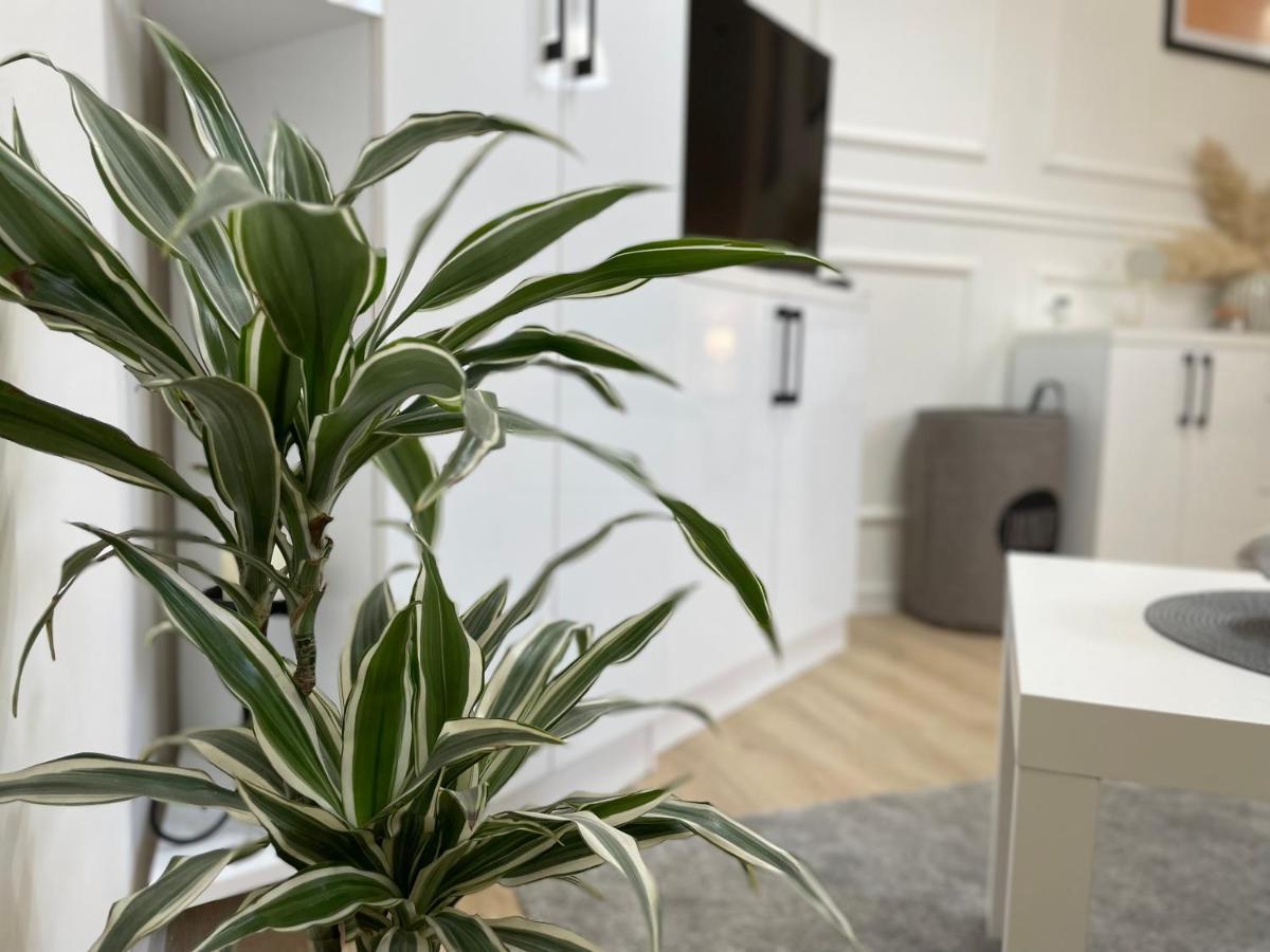 Apartments Tema Sombor Exterior photo